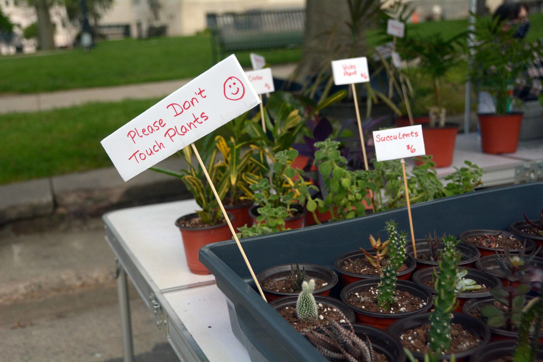 Baraboo Farmer's Market adjusts for safety during COVID-19 pandemic